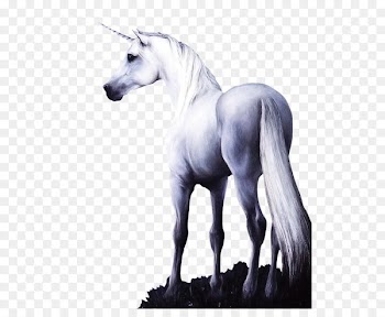 Horse Unicorn - Stone horse sculpture 