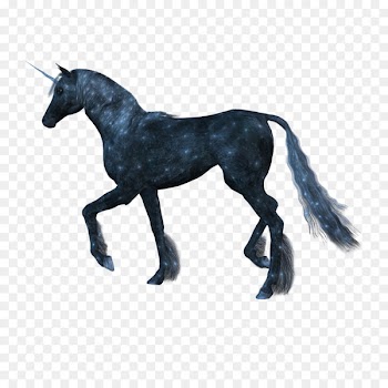 Horse Unicorn - unicorn 