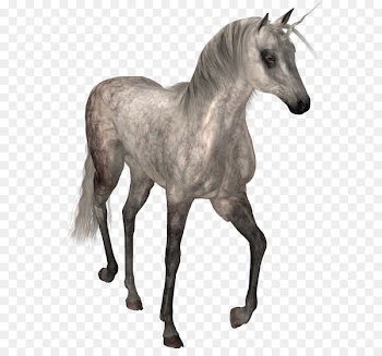 Horse Unicorn - unicorn 