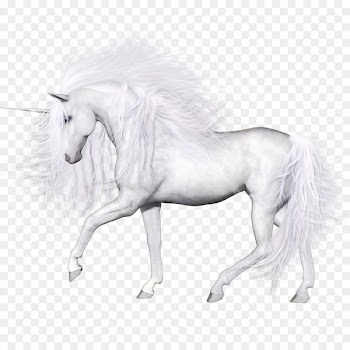 Horse Unicorn - unicorn 