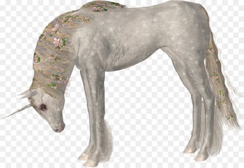 Horse Unicorn - unicorn 