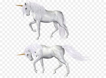 Horse Unicorn - Unicorn PNG 