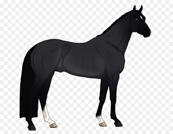 Horse Vector graphics Royalty-free Cat Stock photography - horse 