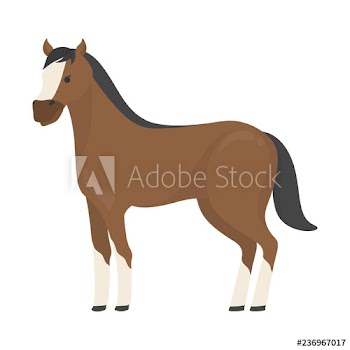 Horse wild or domestic animal