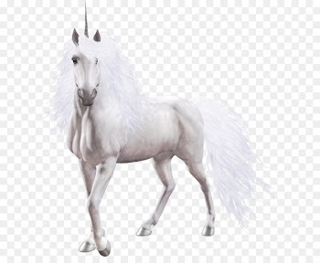 Horse Winged unicorn Portable Network Graphics Image - horse 