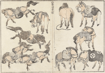 Horses (1817) in high resolution | Free Photo - rawpixel