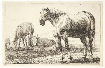 Horses and cows | Free Photo - rawpixel