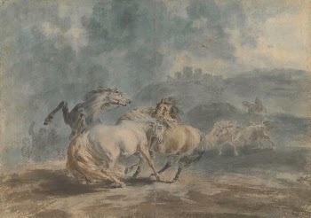 Horses Fighting | Free Photo - rawpixel