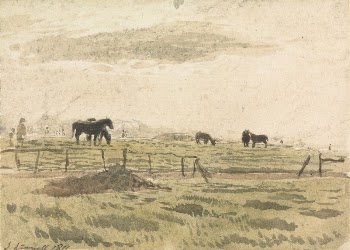 Horses in a Paddock | Free Photo - rawpixel