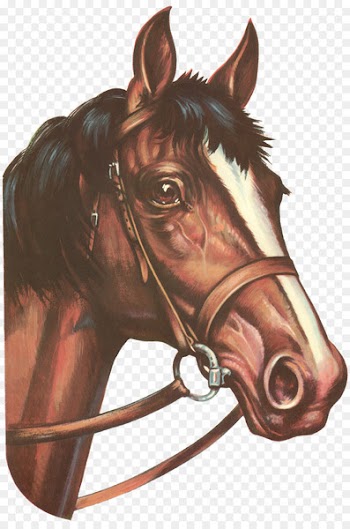 Horses in art Pony Greeting card Decal - horse 