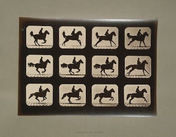 Horses. Irregular (ca.1881) photography in high | Free Photo - rawpixel