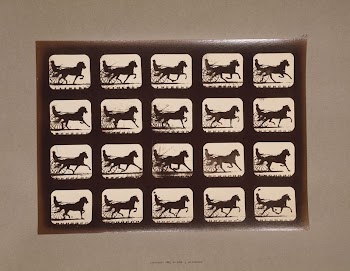 Horses. Pacing (ca.1881) photography in high | Free Photo - rawpixel