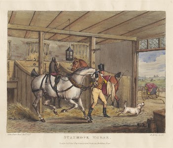 Horses [set of six]:  | Free Photo - rawpixel