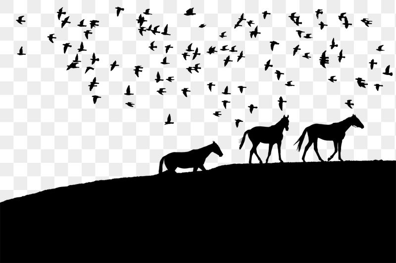 Horses silhouette png border, transparent | Free PNG - rawpixel