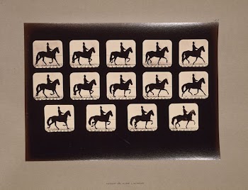 Horses. Trotting (ca.1881) photography in high | Free Photo - rawpixel