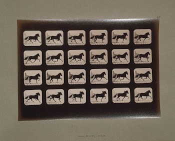 Horses. Trotting (ca.1881) photography in high | Free Photo - rawpixel