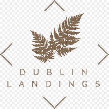 Host Point Campus Student Accommodation Dublin Landings Lensmen Photography and Video Production Logo - bally pattern 