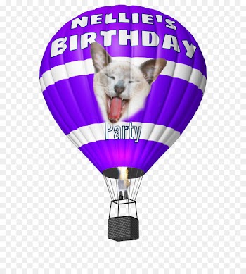 Hot Air Balloon, Balloon, Purple, Hot Air Ballooning PNG