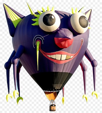 Hot air balloon festival Sonoma County Hot Air Balloon Classic - balloon 