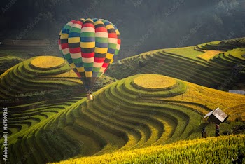 Hot air balloon over rice field in Mu cang chai, Vietnam