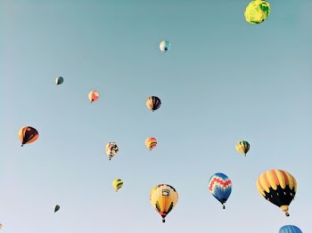 hot air balloons flying in the sky