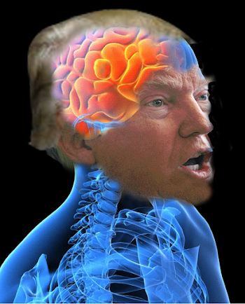 Hot Brain Cool Brain - Resilience