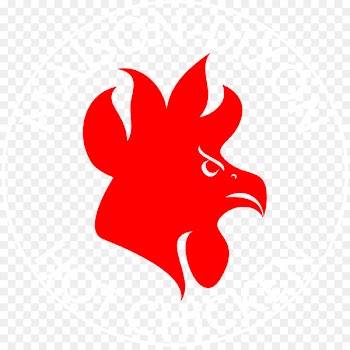 Hot chicken Chicken marsala Fried chicken Chicken as food - chicken 