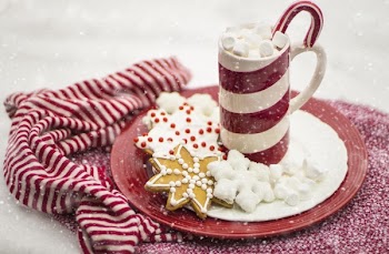 Hot Chocolate With Marshmallows and Cookies on Plate