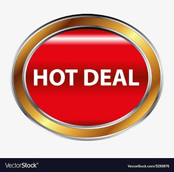 Hot deal button vector image