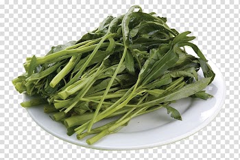 Hot pot Chinese cuisine Water spinach Vegetable Food, A plate of spinach transparent background PNG clipart