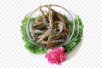 Hot pot Seafood Chinese cuisine Shrimp Hong Kong cuisine - Mantis shrimp bowl 