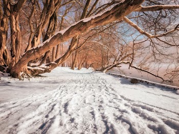 Hot sun, cold snow 
Mellow me — 
stuck Inbetween.