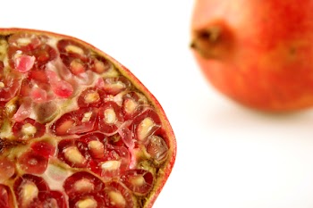 hotblack_20060618_pomegranate_042.jp