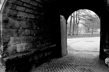 hotblack_20070217_pollok_034.jpg