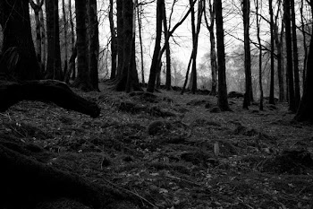 hotblack_20070411_lochgoilhead_124.j