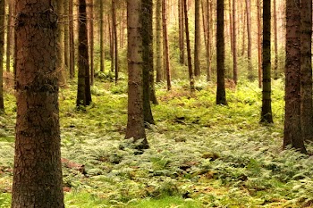 hotblack_20070901_beecraigs-174.JPG