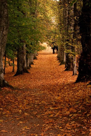 hotblack_20071020_blaircastle-17.JPG