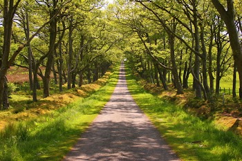 hotblack_20080531_pentlands-38.JPG