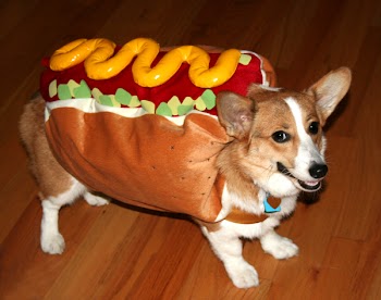 hotdog.jpg