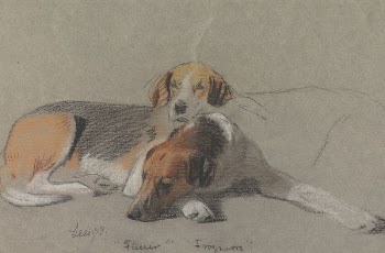 Hounds: "Fleur" and "Frogmore" | Free Photo - rawpixel
