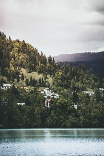 house and trees during daytime