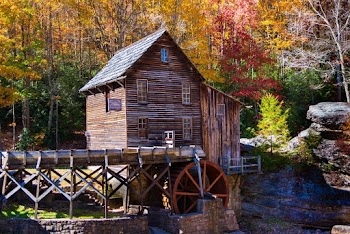 House Beside Trees