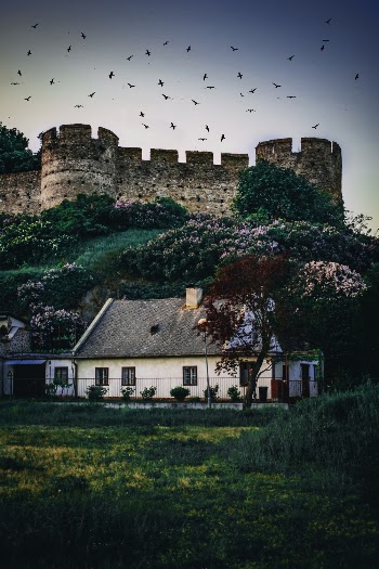 House Beside Trees and Castle
