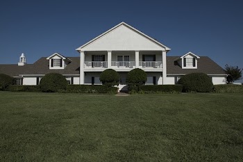 House Beyond Green Plants