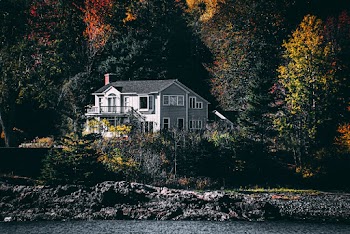 House By The Forest