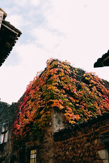 House Cover With Flowers