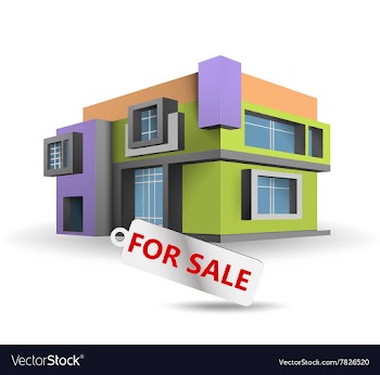House for sale vector image