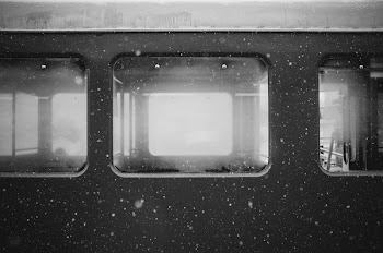 house glass window grayscale photo