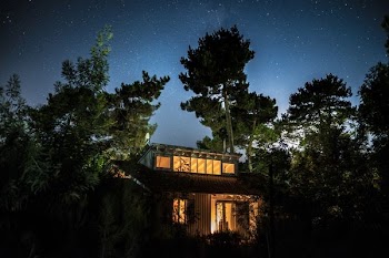 house in forest