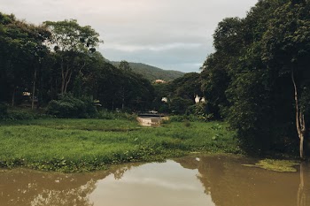 House in the Center of Forest